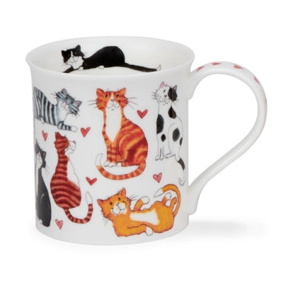 Bute Lovable Cats Mug – The Bee's Knees British Imports
