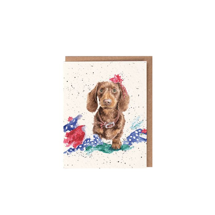 'It Was The Cat' Dachshund Christmas Gift Enclosure Card