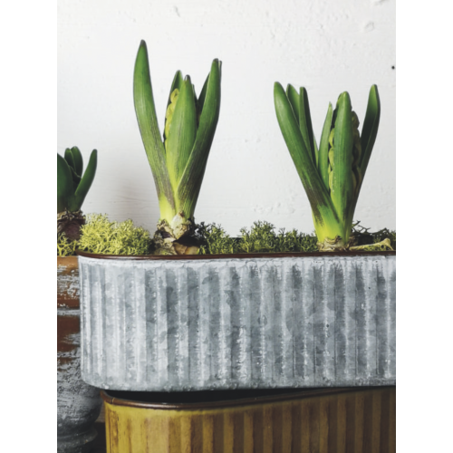 Ribbed Oval Small Zinc Planter
