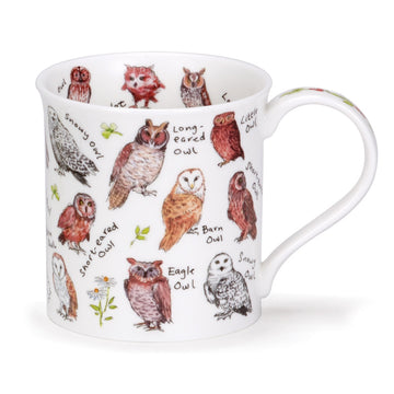 Dunoon Bute Birdlife Owls Mug Image