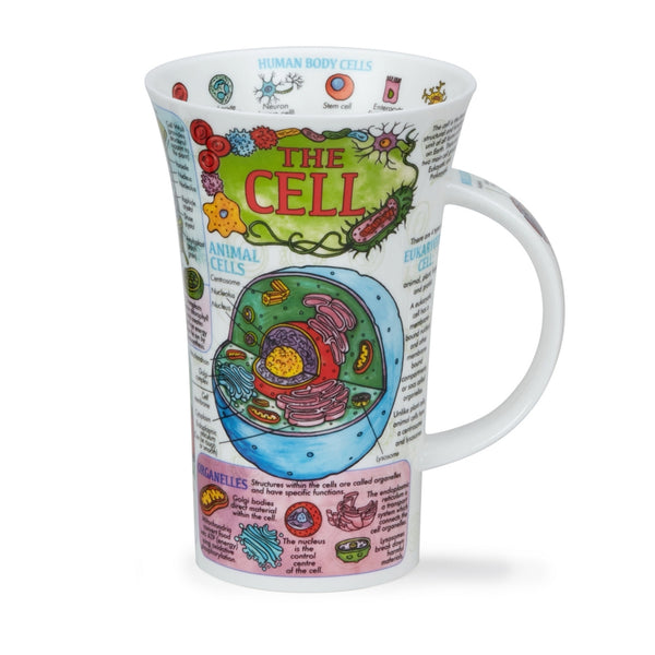 Informative Mugs – The Bee's Knees British Imports