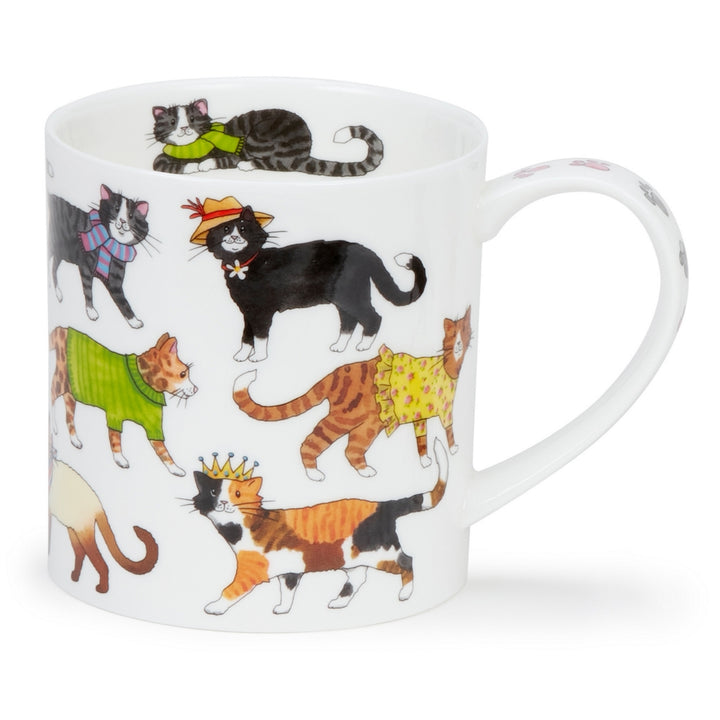 Orkney Cool Cats Mugs