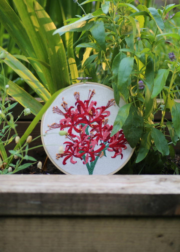 Royal Horticultural Society Guernsey Lily Embroidery Kit