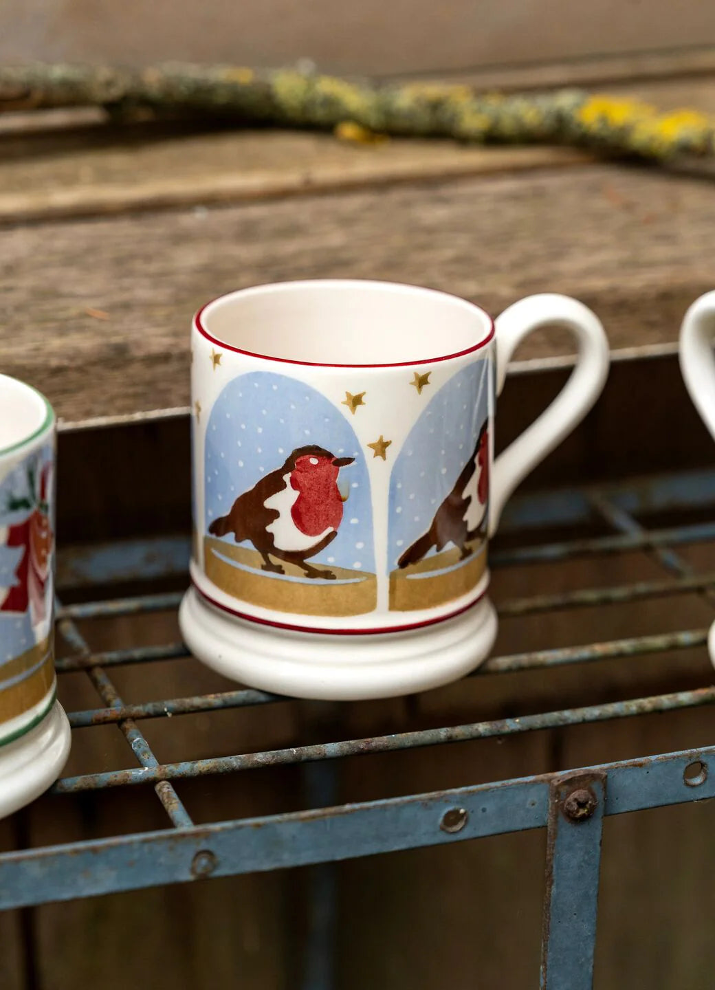 Robin Snow Globe 1/2 Pint Mug