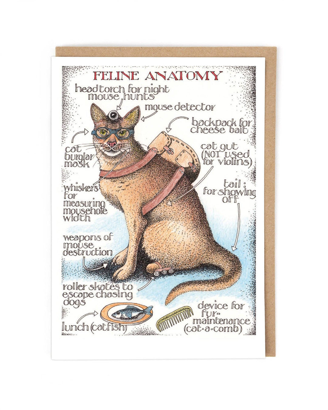 Feline Anatomy Card by Simon Drew