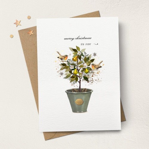Merry Christmas to You Plant Pot Greeting Card