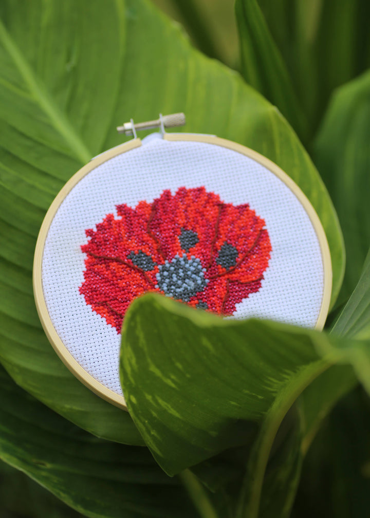 Royal Horticultural Society Poppy Cross Stitch Kit