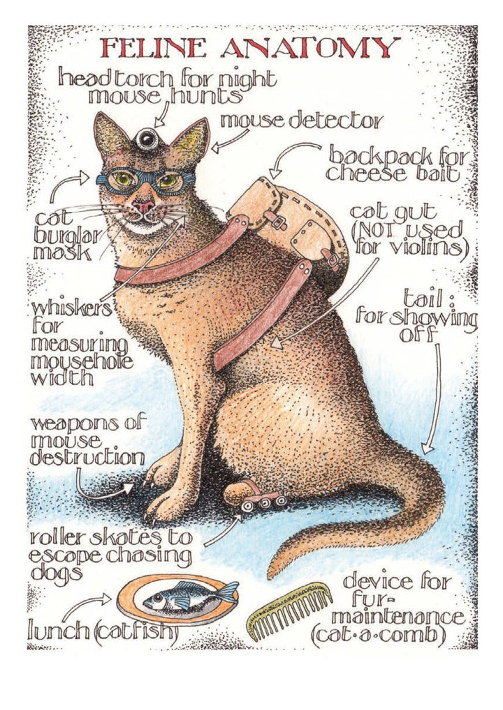 Feline Anatomy Card by Simon Drew
