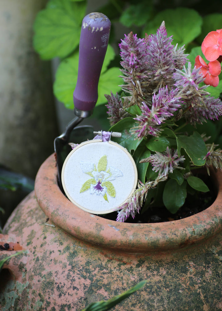 Royal Horticultural Society Orchids Embroidery Kit
