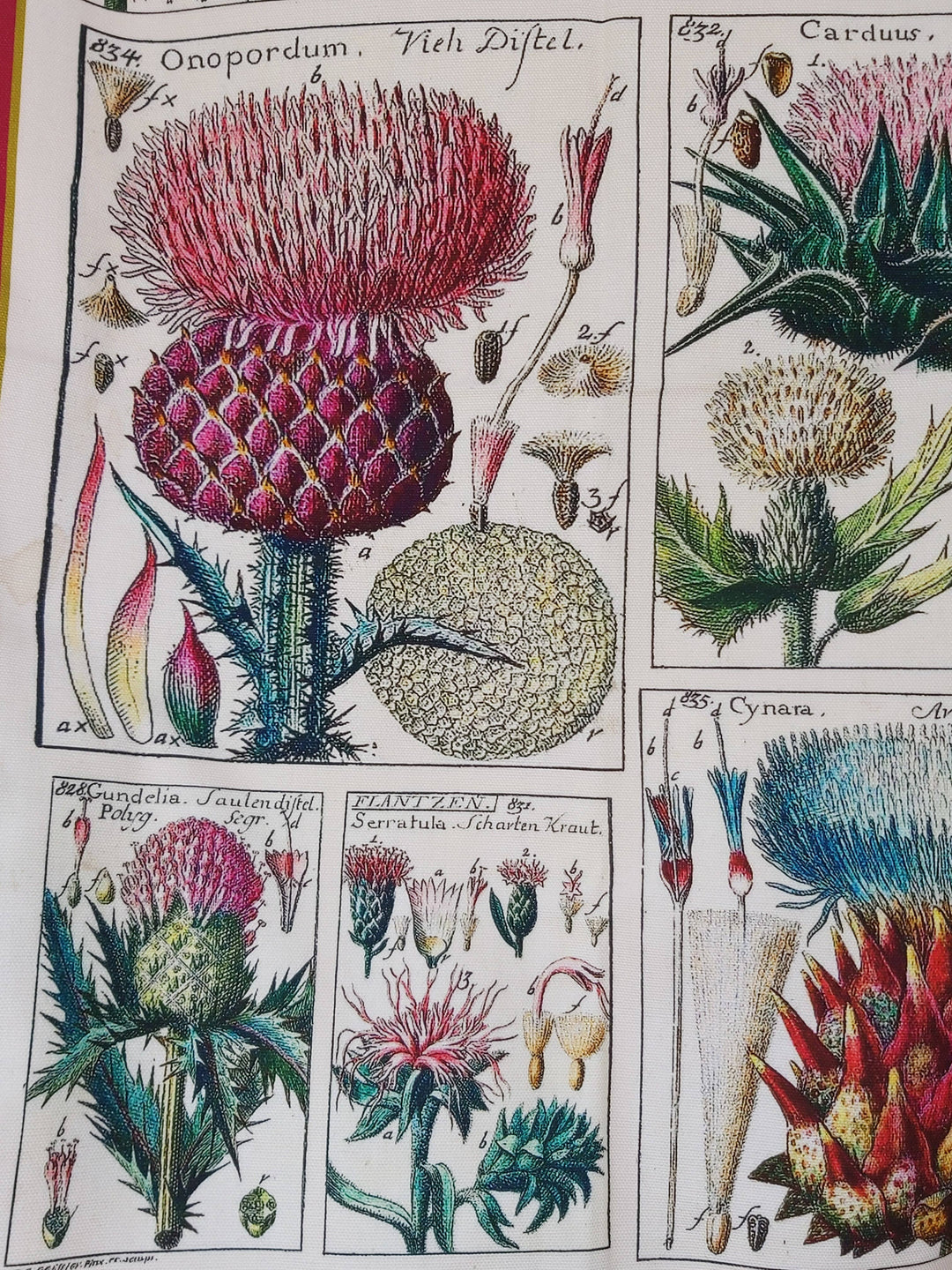 Thistle Antique Print Tea Towel