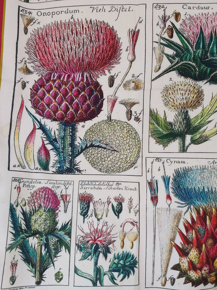 Thistle Antique Print Tea Towel