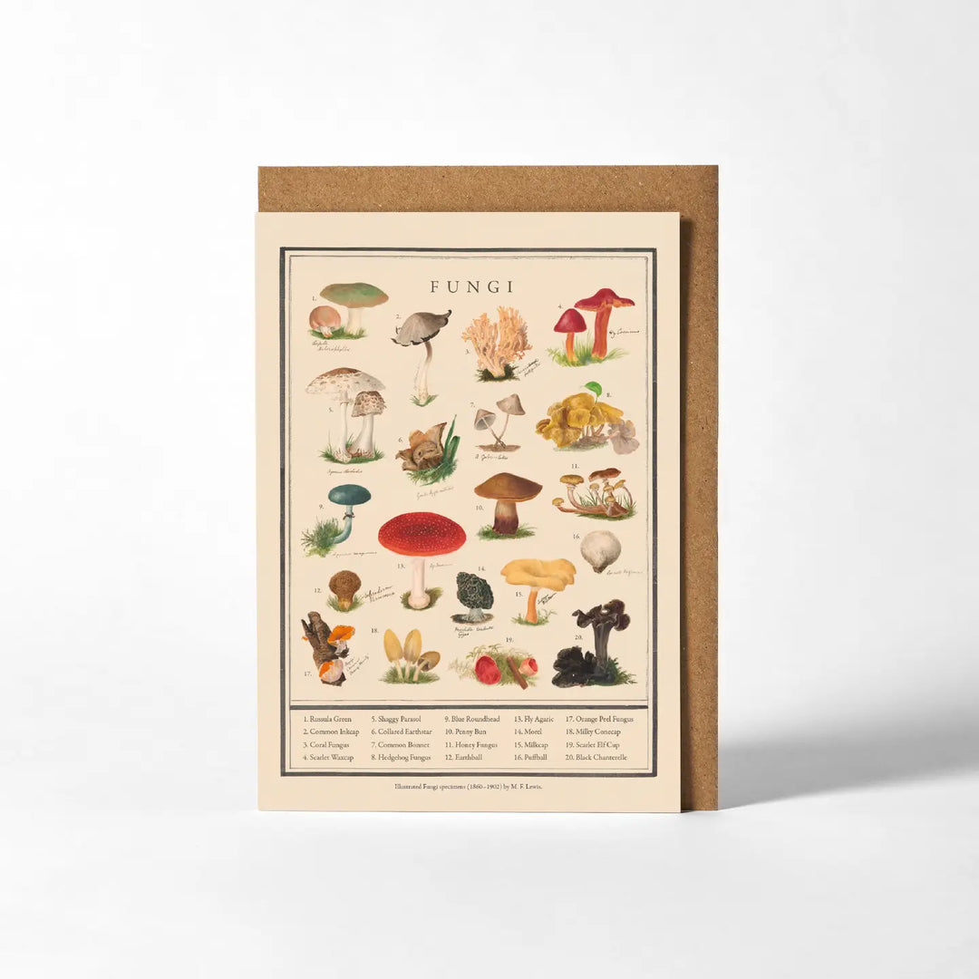 Fungi Greetings Card