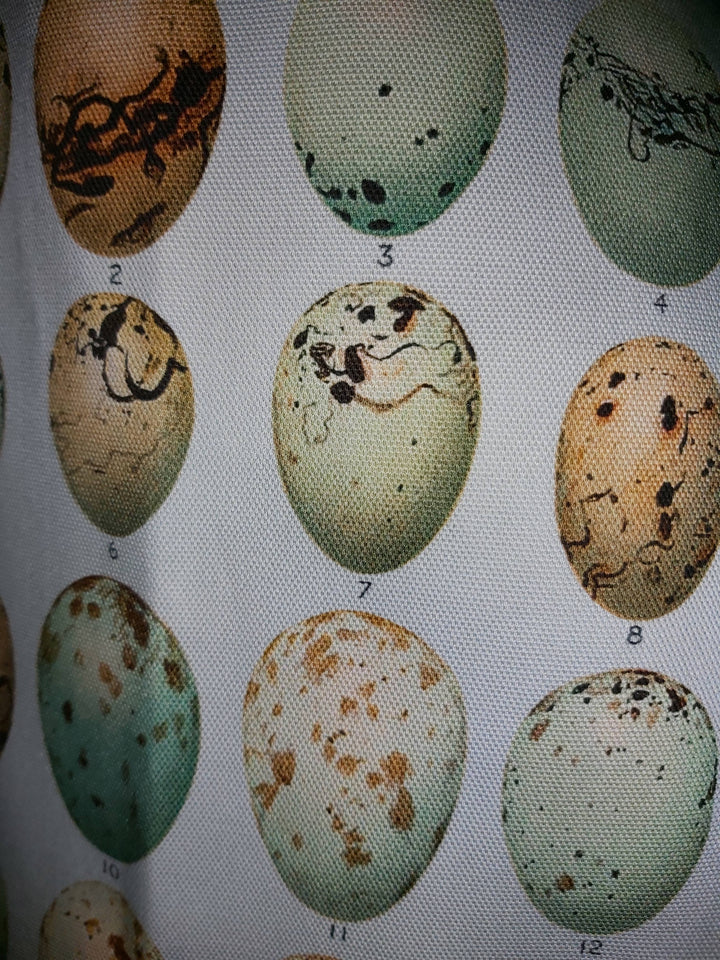 Antique Eggs Print Tea Towel