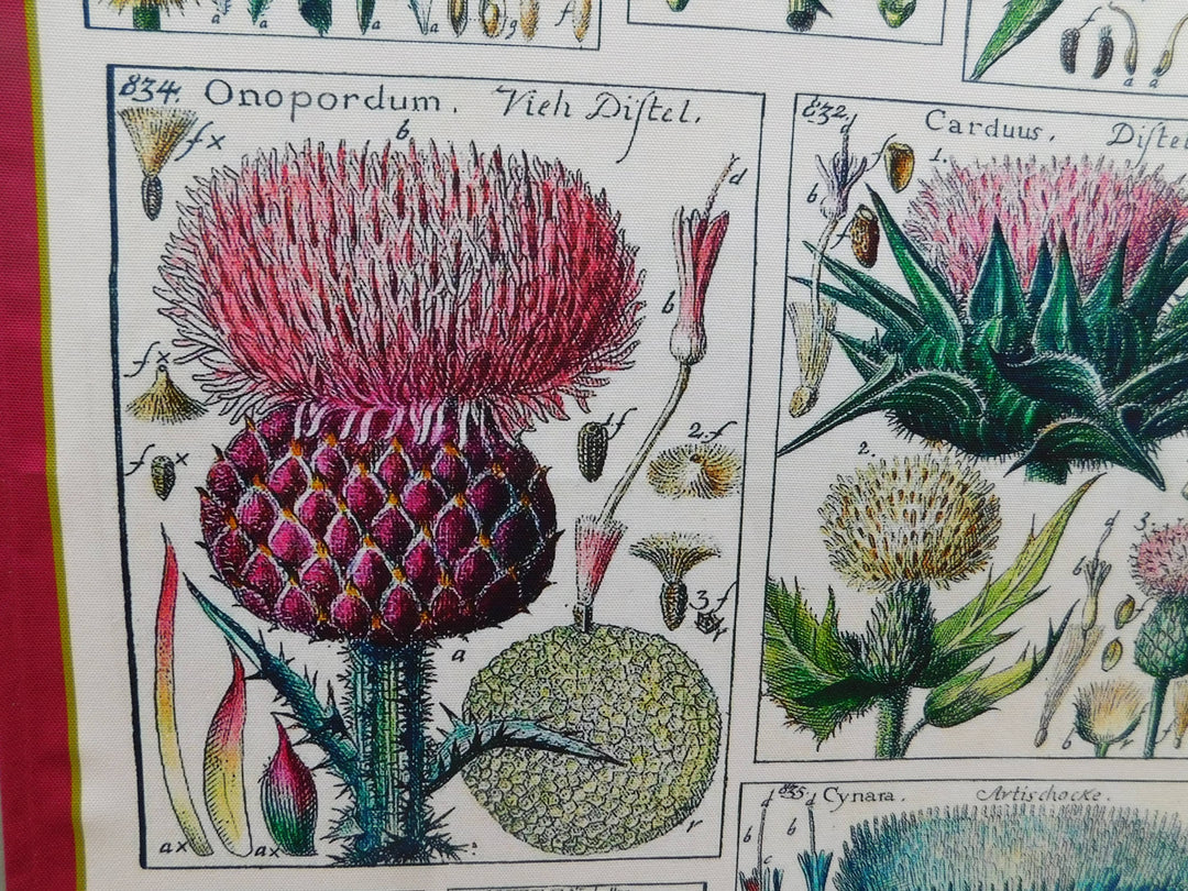 Thistle Antique Print Tea Towel