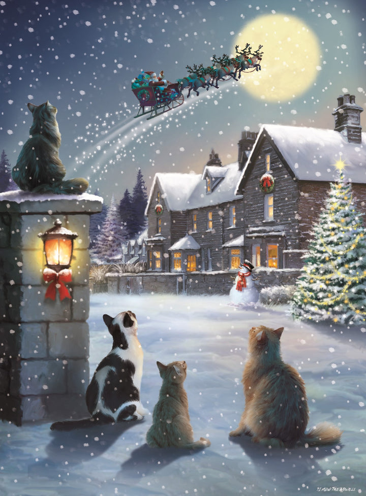 Snowy Village Advent Calendar Card