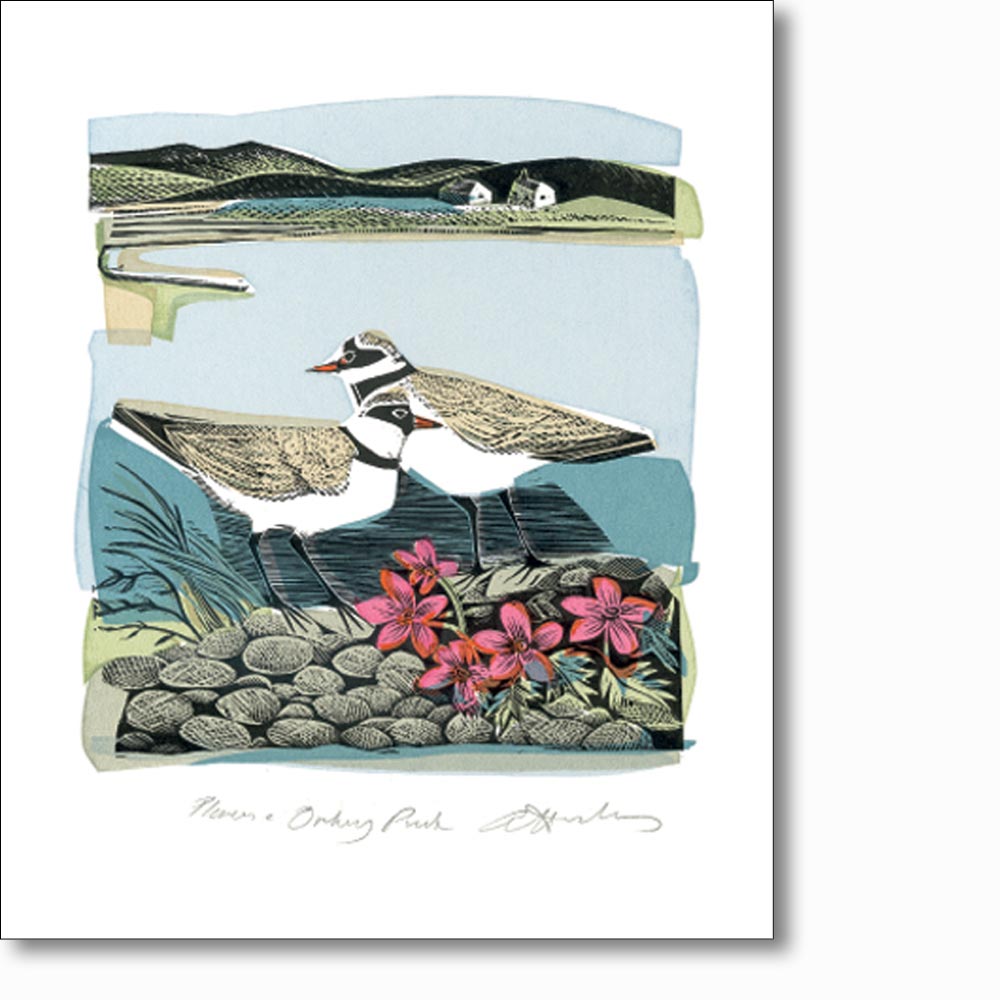 'Plovers and Orkney Pinks' Greeting Card