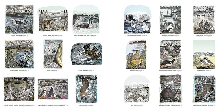 Countryside Coloring Book by Angela Harding