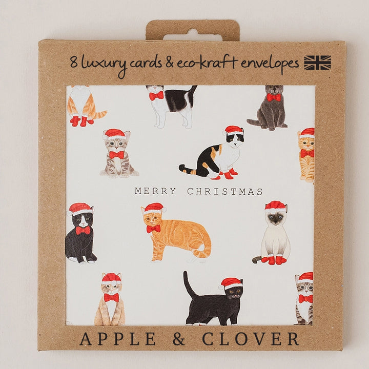 Luxury Christmas Card Pack of 8 with Cats