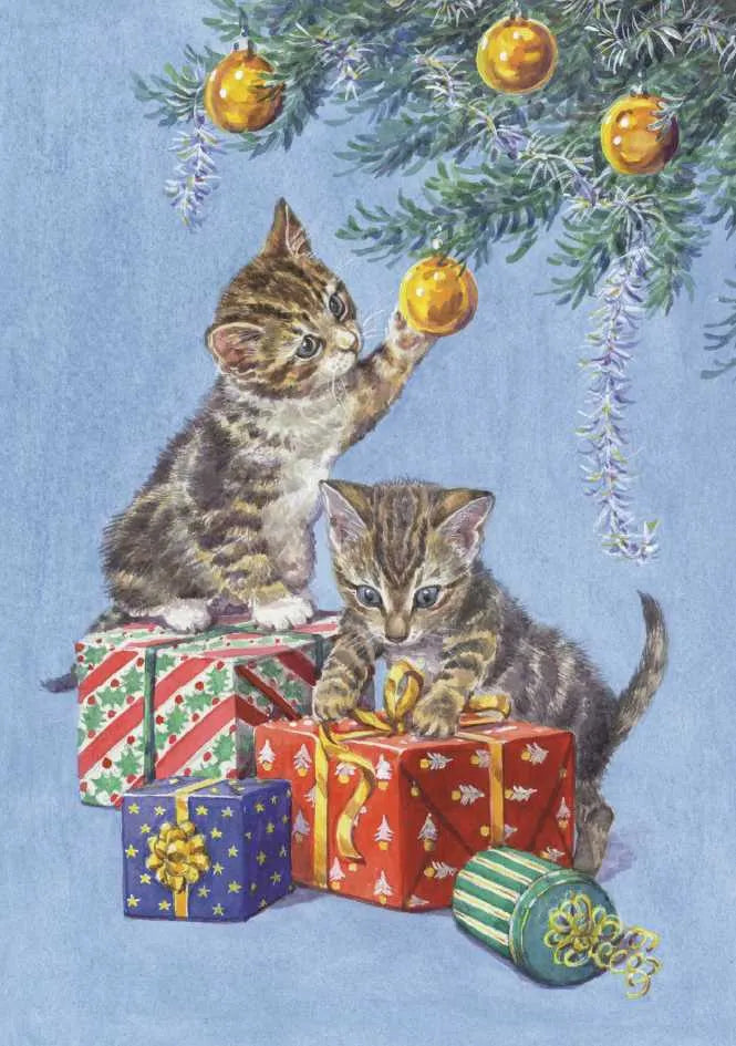Two Kittens Christmas Card