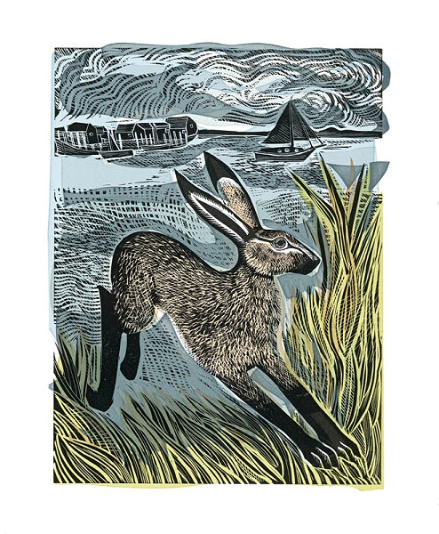 'Young Hare' Greeting Card