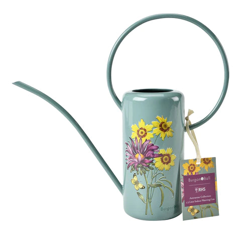 RHS Asteraceae Indoor Watering Can