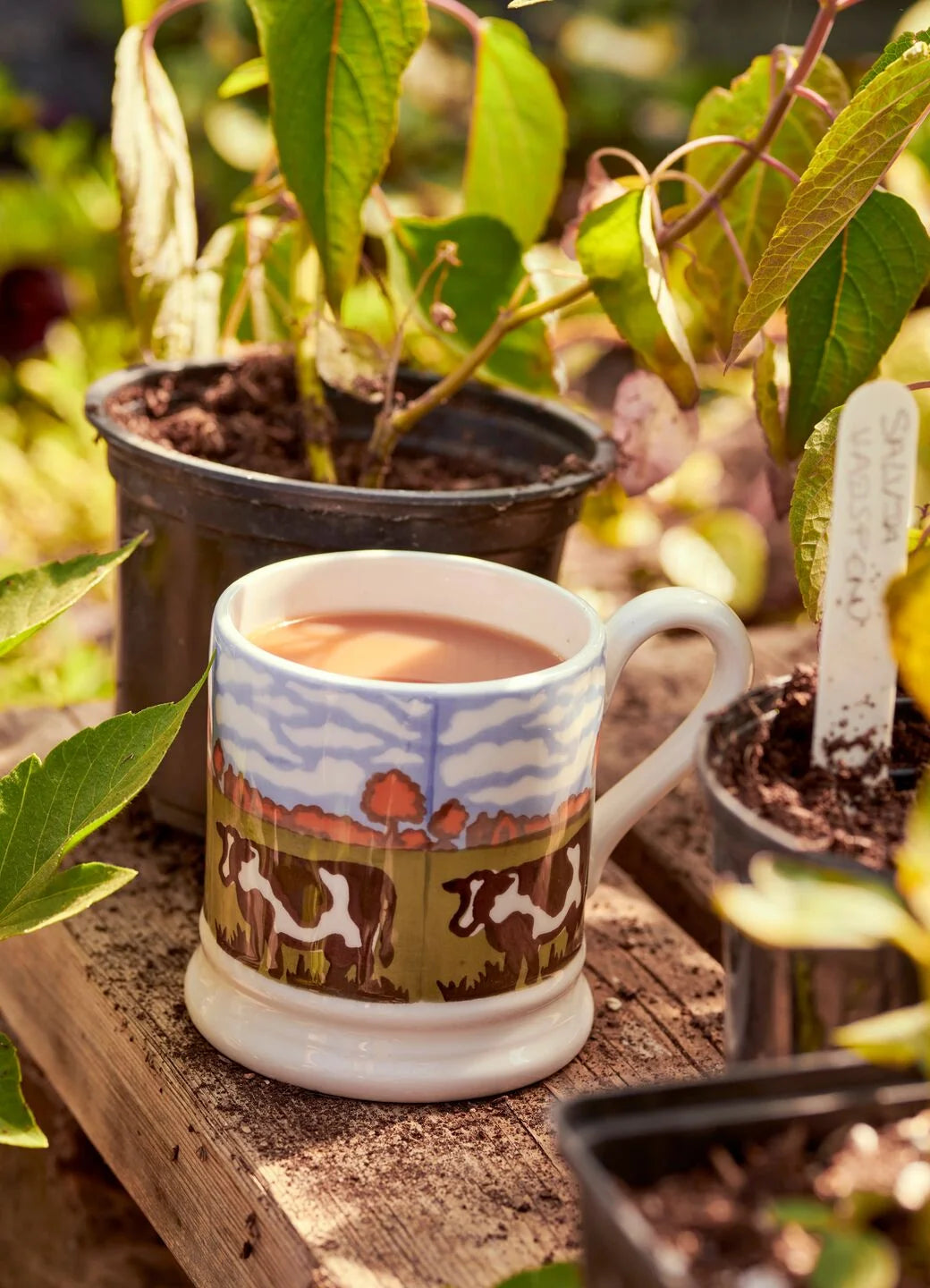 Country Icons Autumn Cows 1/2 Pint Mug