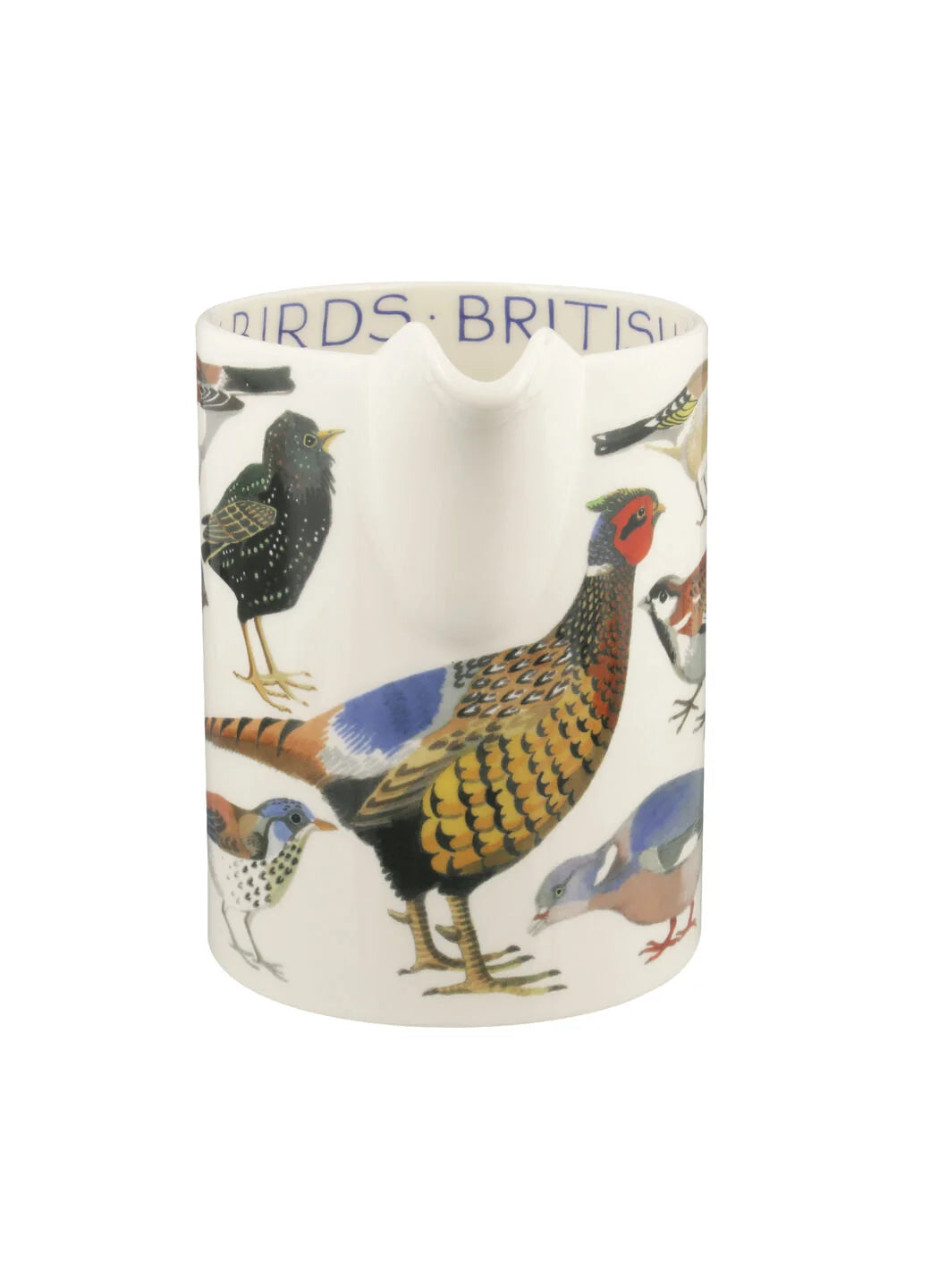 British Birds Large Straight Jug