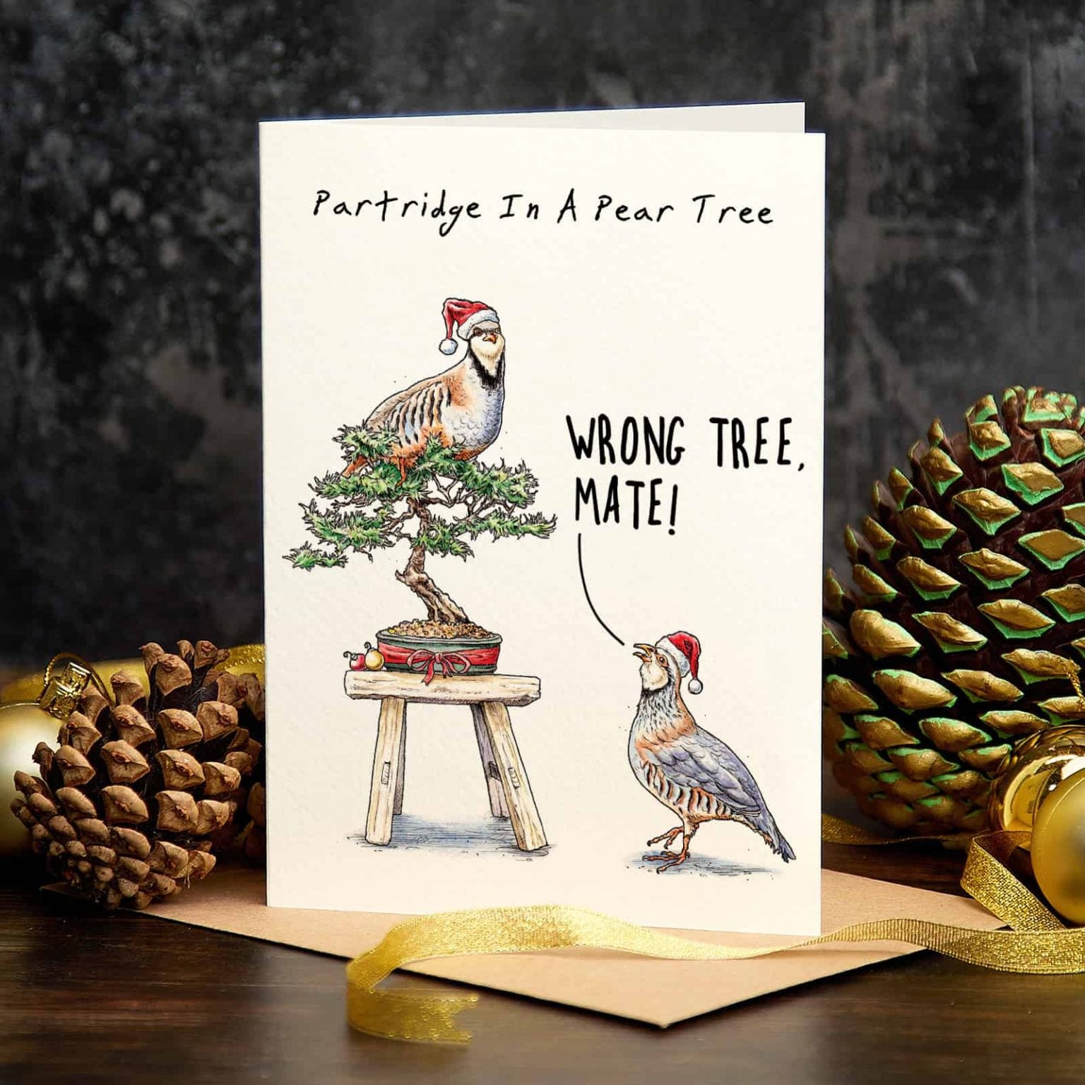 A Christmas Filled With Partridges, Dysfunctional Families and Christmas  Cards