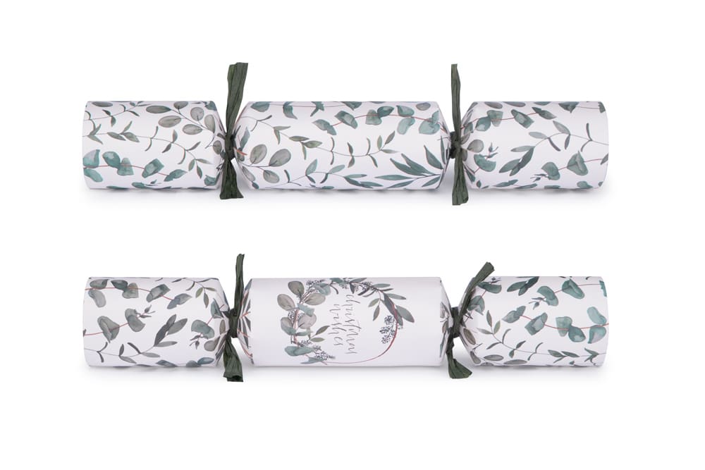 Eucalyptus Crackers Box of 12