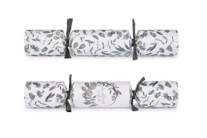 Eucalyptus Crackers Box of 12