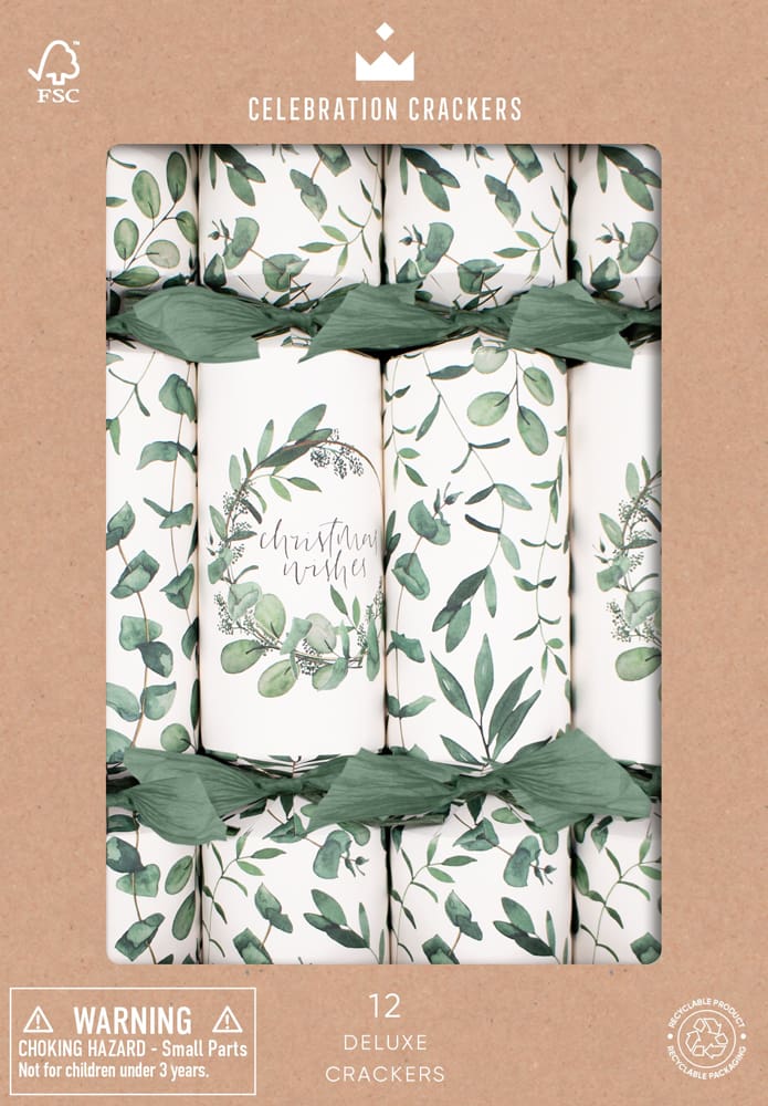 Eucalyptus Crackers Box of 12