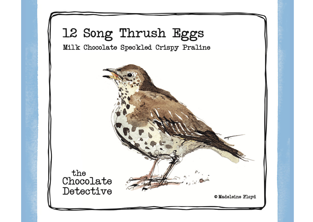 12 Song Thrush Eggs by The Chocolate Detective