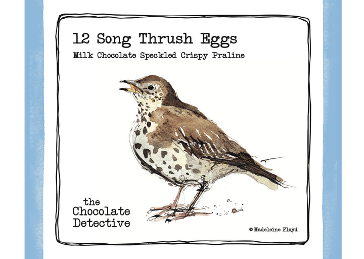 12 Song Thrush Eggs by The Chocolate Detective
