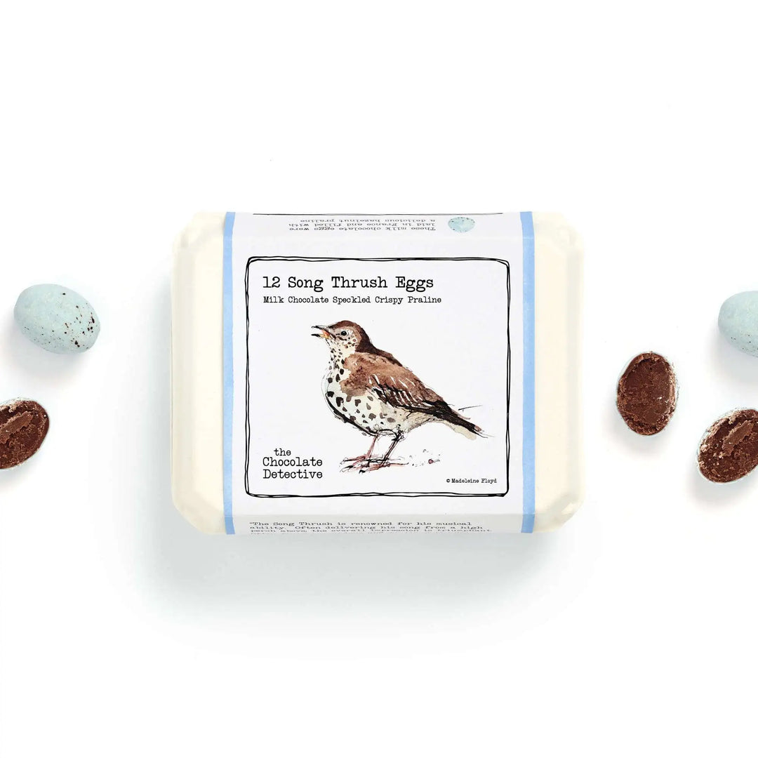 12 Song Thrush Eggs by The Chocolate Detective