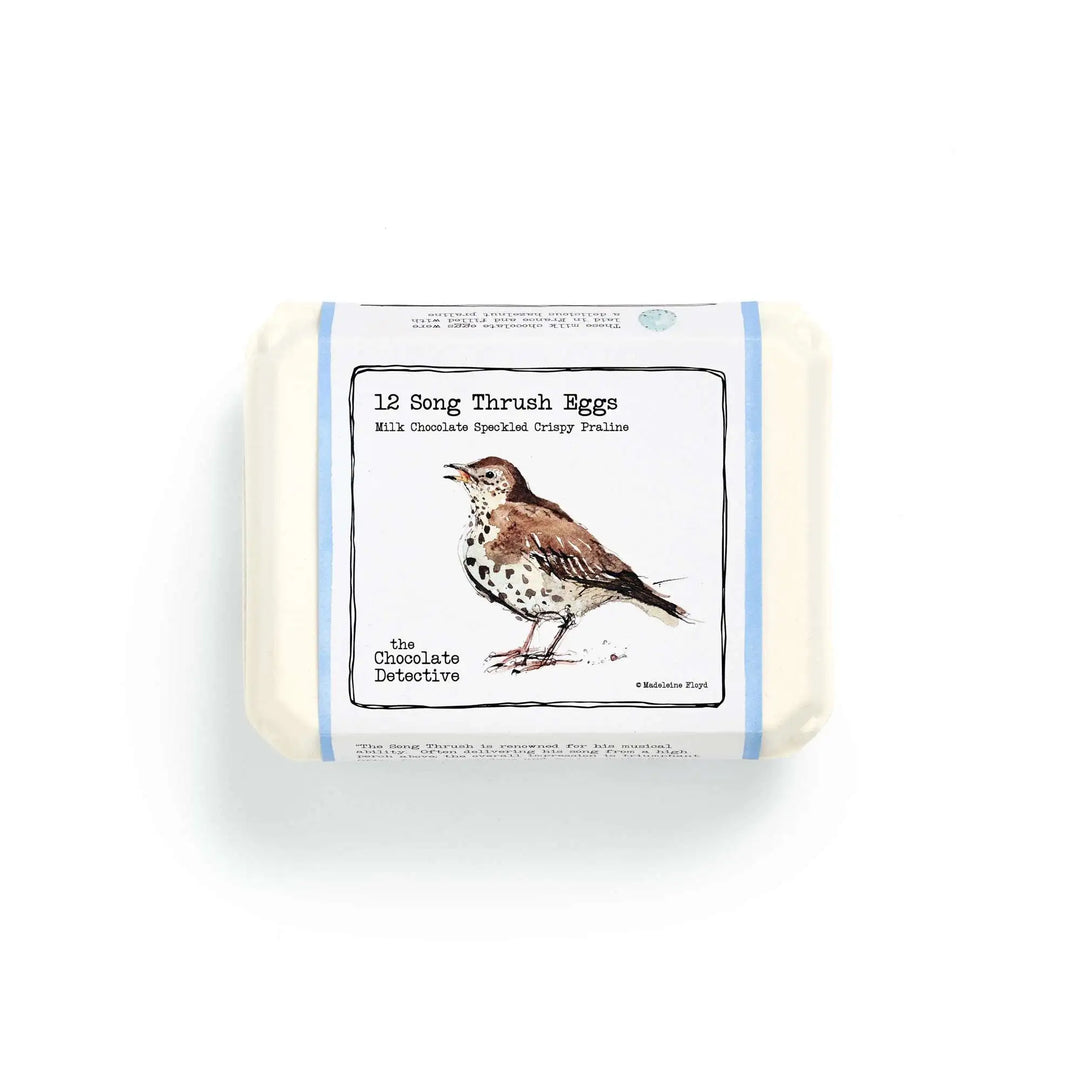 12 Song Thrush Eggs by The Chocolate Detective
