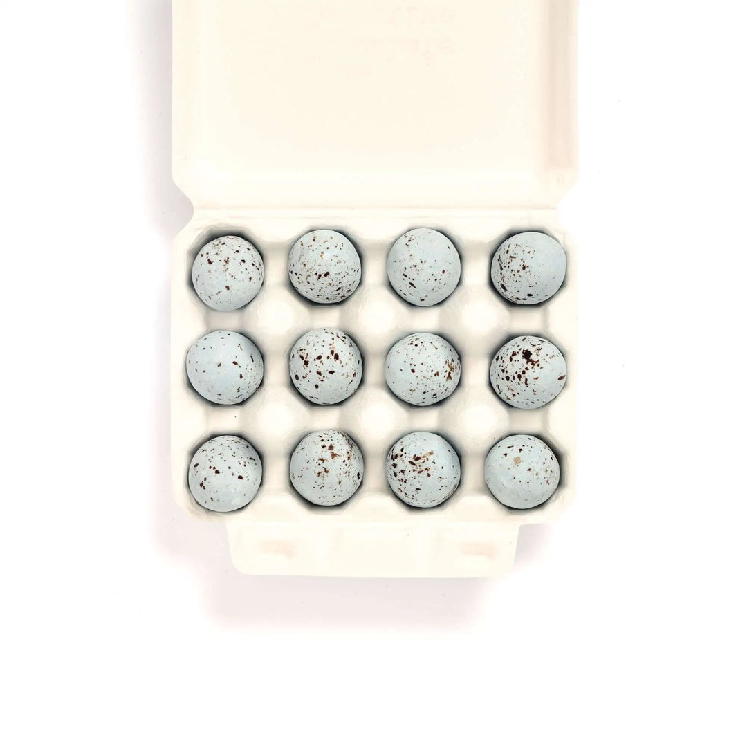 12 Song Thrush Eggs by The Chocolate Detective
