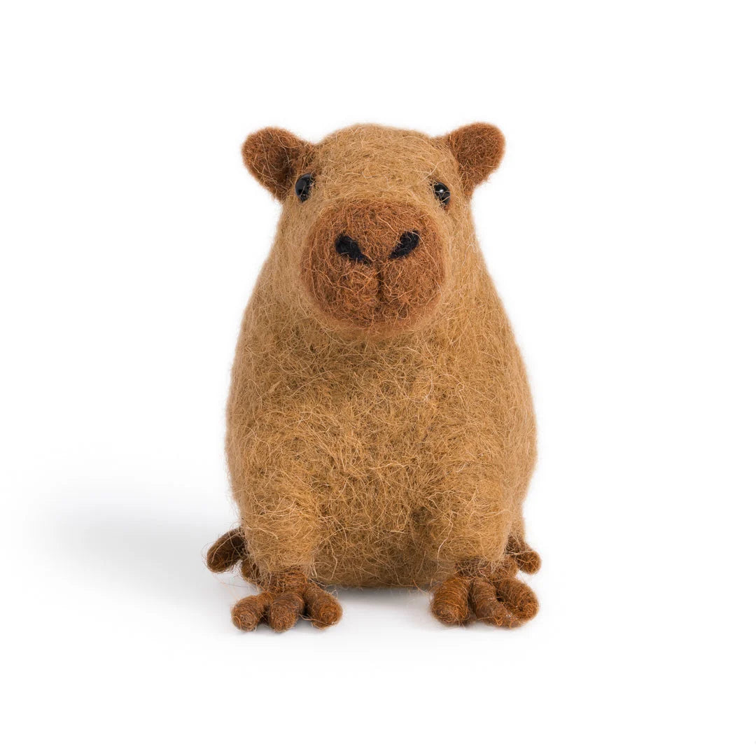 Carlos the Capybara