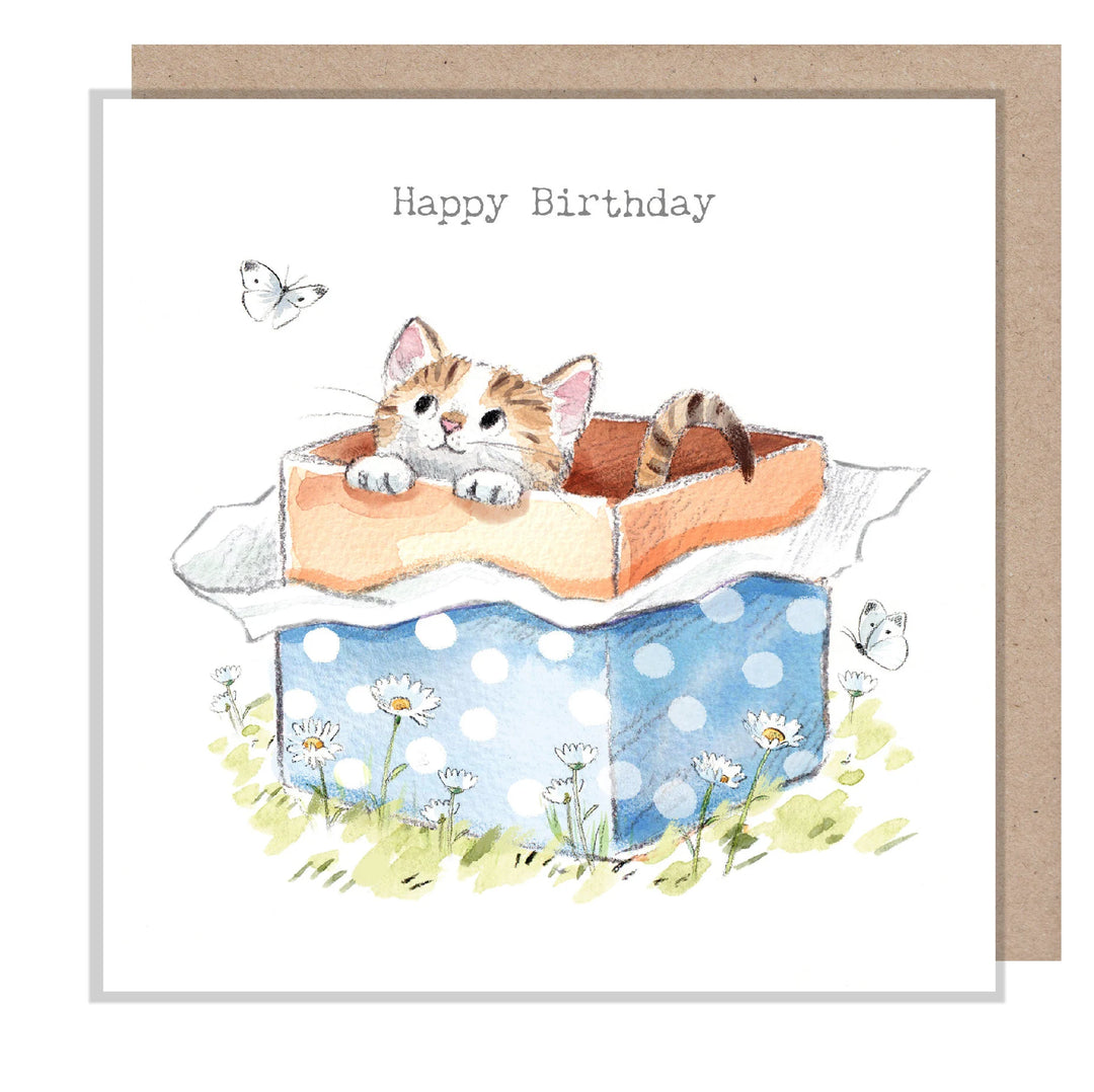 Cat in a Box Birthday Greetings Card