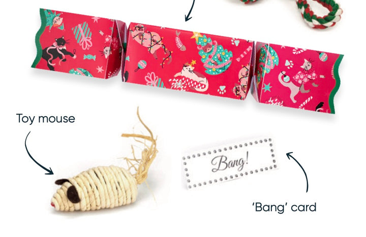 Cat 13-inch Christmas Cracker