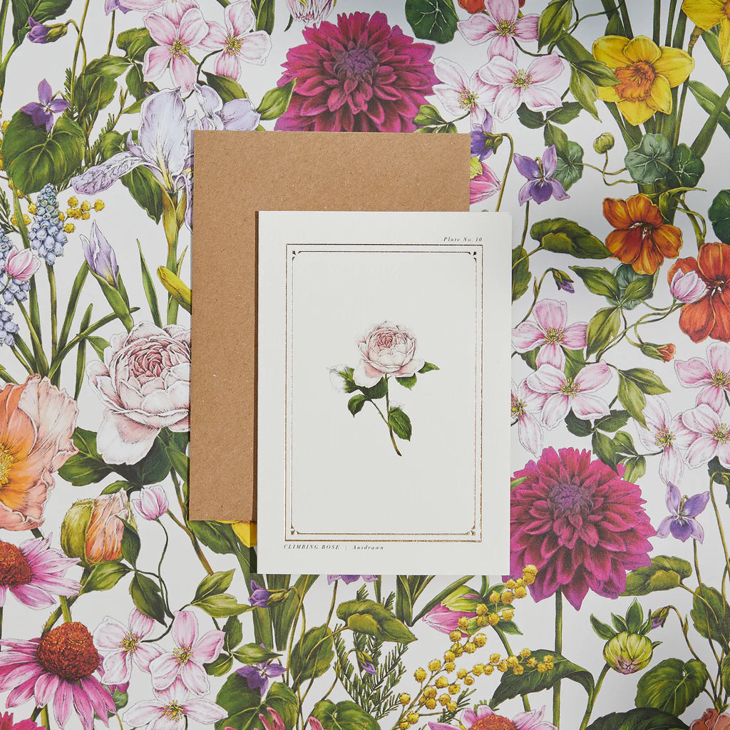 Rose 'Botanical Archive: Everyday Edition' Greeting Card
