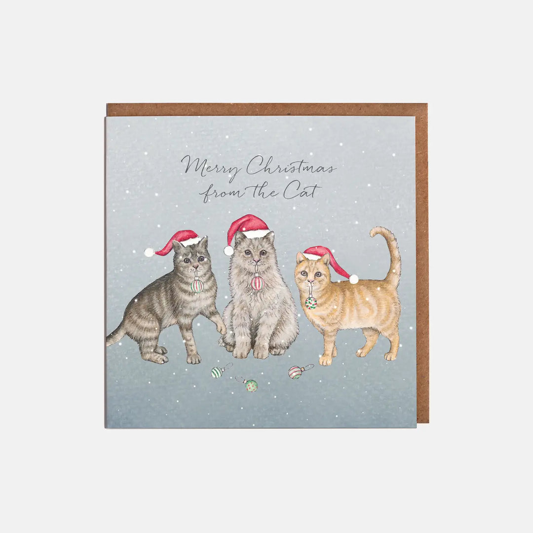 Cats in Hats Christmas Card