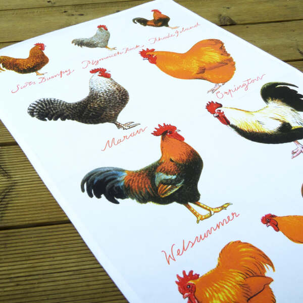 Chicken Breeds Cotton Tea Towel