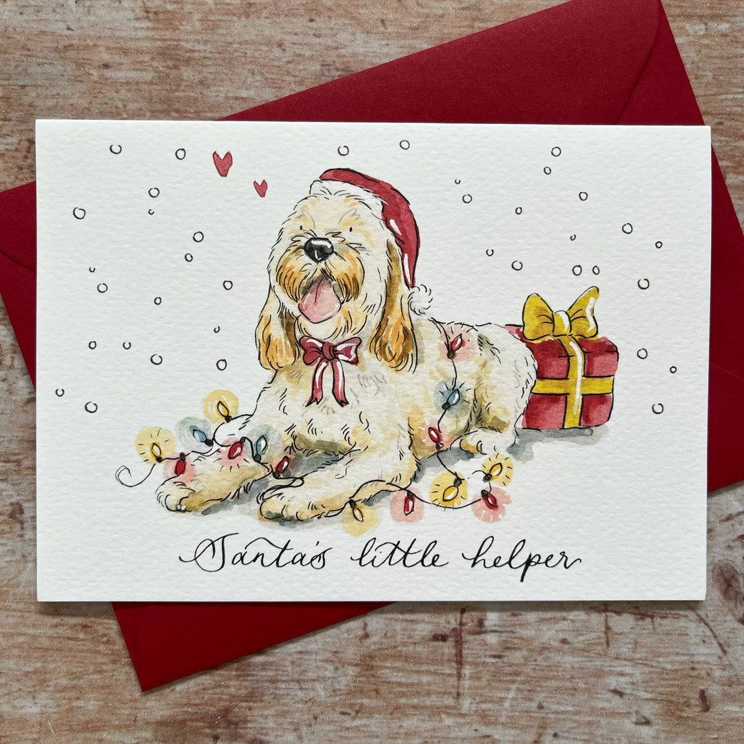 Cockapoo Christmas Card