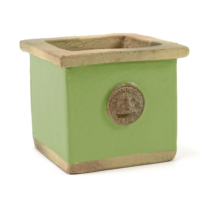 Cornwall Kew Square Herb Pot