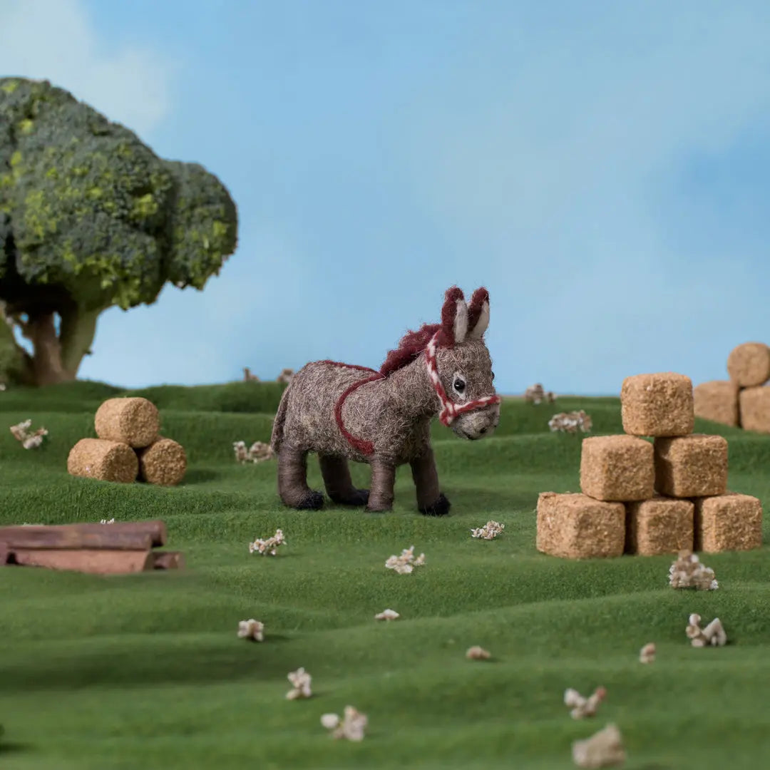 Daisy the Donkey