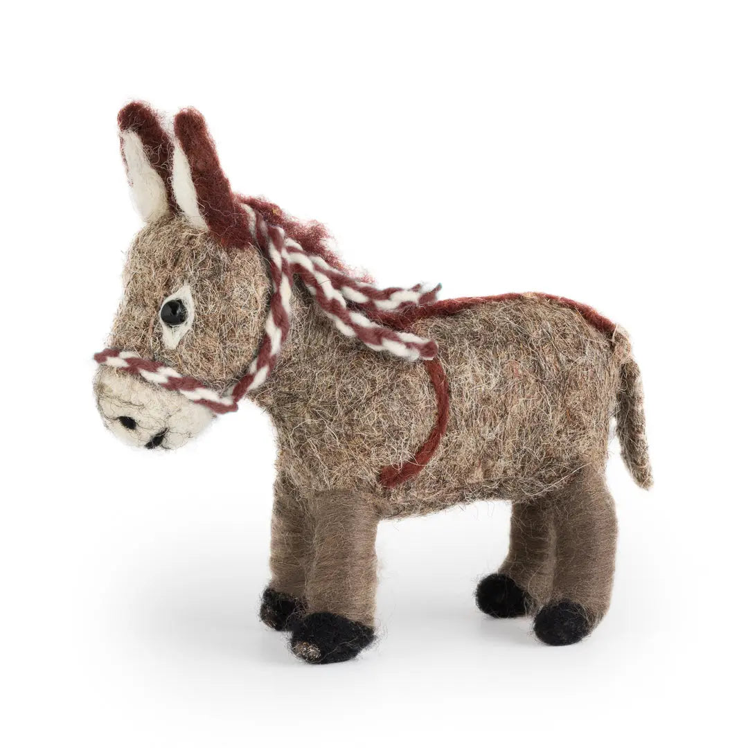 Daisy the Donkey