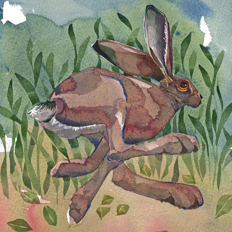 Dash Greetings Card