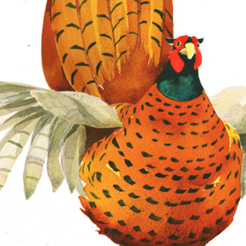 Display Greetings Card