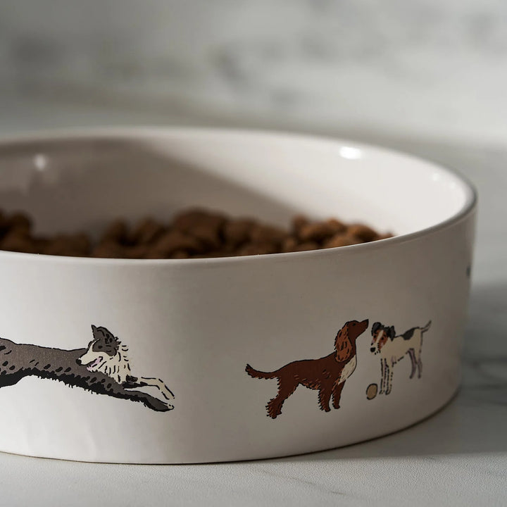 Doggy Daycare Dog Bowl