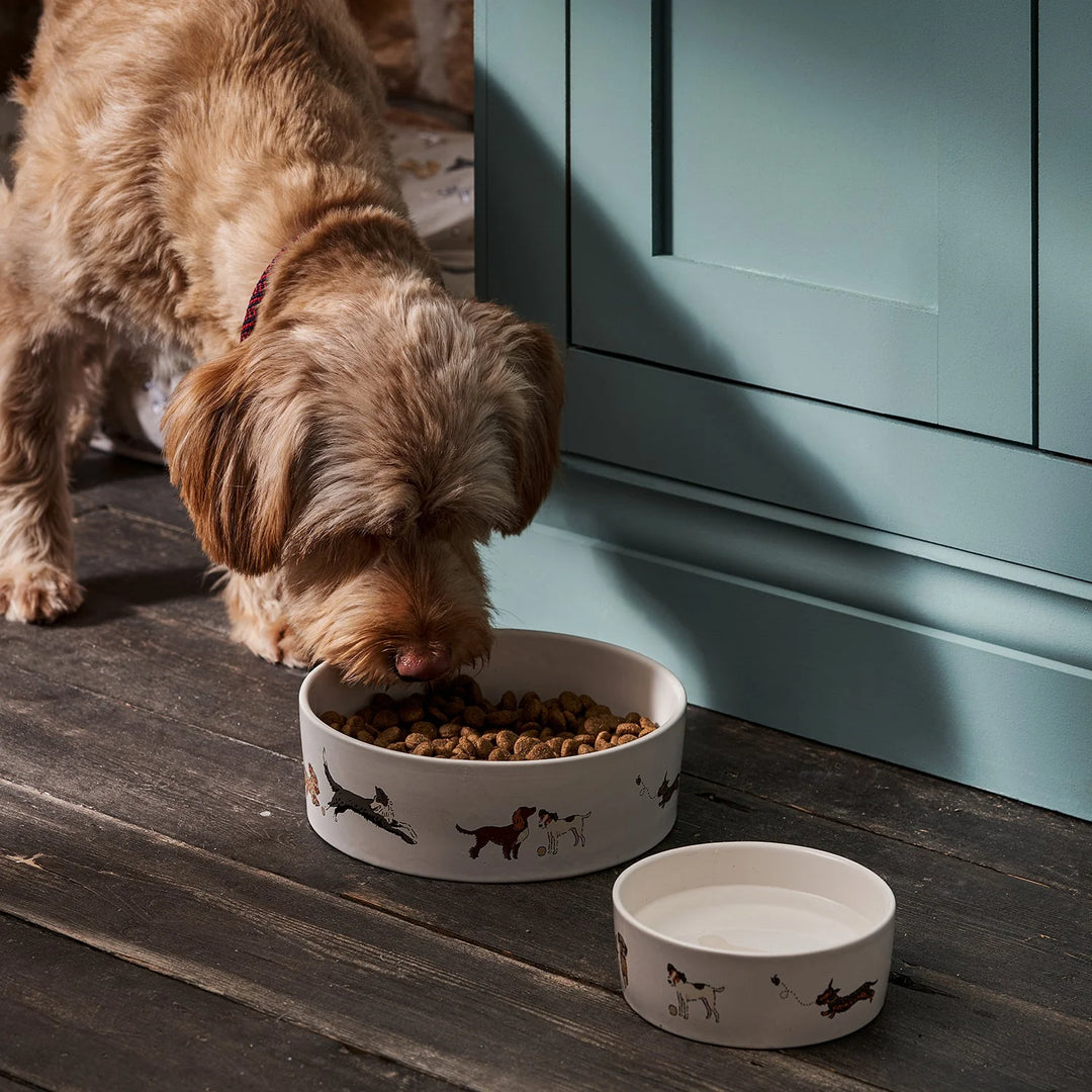 Doggy Daycare Dog Bowl